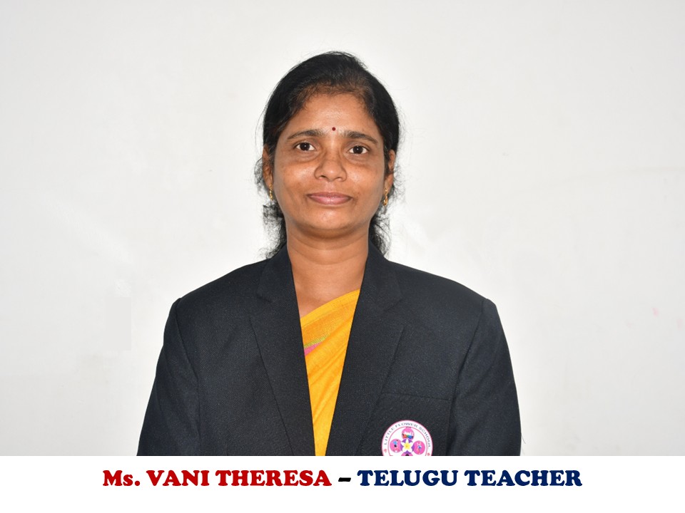 Teacher 